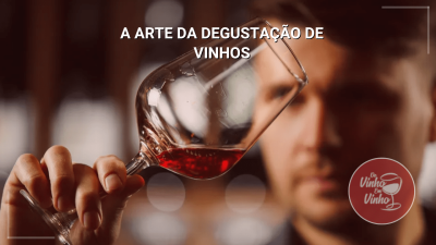 A_Arte_da_Degustação_de_Vinhos_-_Camisetas_-_DeVinhoEmVinho.com_-_De_Vinho_Em_Vinho
