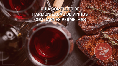 Guia_Completo_de_Harmonização_de_Vinhos_com_Carnes_Vermelhas_-_Camisetas_-_DeVinhoEmVinho.com_-_De_Vinho_Em_Vinho_(1)